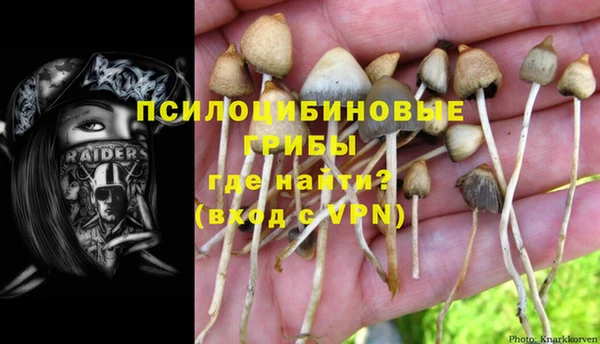 гидропоника Переславль-Залесский