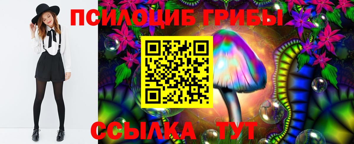 Псилоцибиновые грибы мицелий  Белореченск 