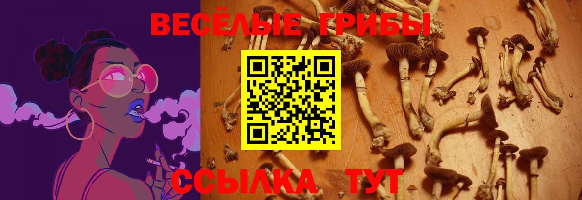 Галлюциногенные грибы ЛСД  Вход с VPN  Белореченск 