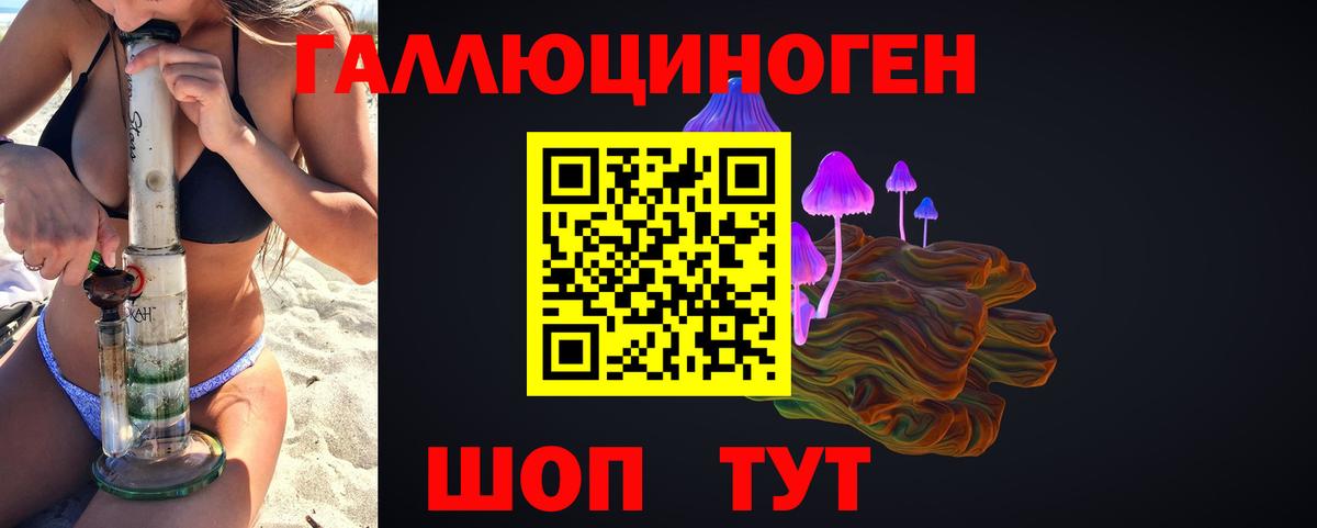 Галлюциногенные грибы Cubensis Белореченск